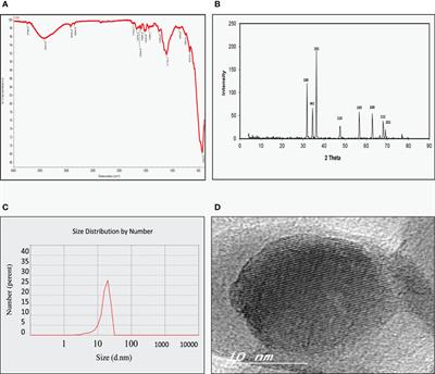 Frontiers | Ultrastructural Analysis Of Zinc Oxide Nanospheres Enhances ...